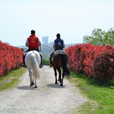 Vento Barocco - Equitazione E Turismo Βίλα Ματέρα Εξωτερικό φωτογραφία