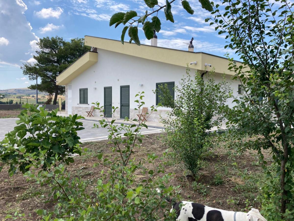 Vento Barocco - Equitazione E Turismo Βίλα Ματέρα Εξωτερικό φωτογραφία