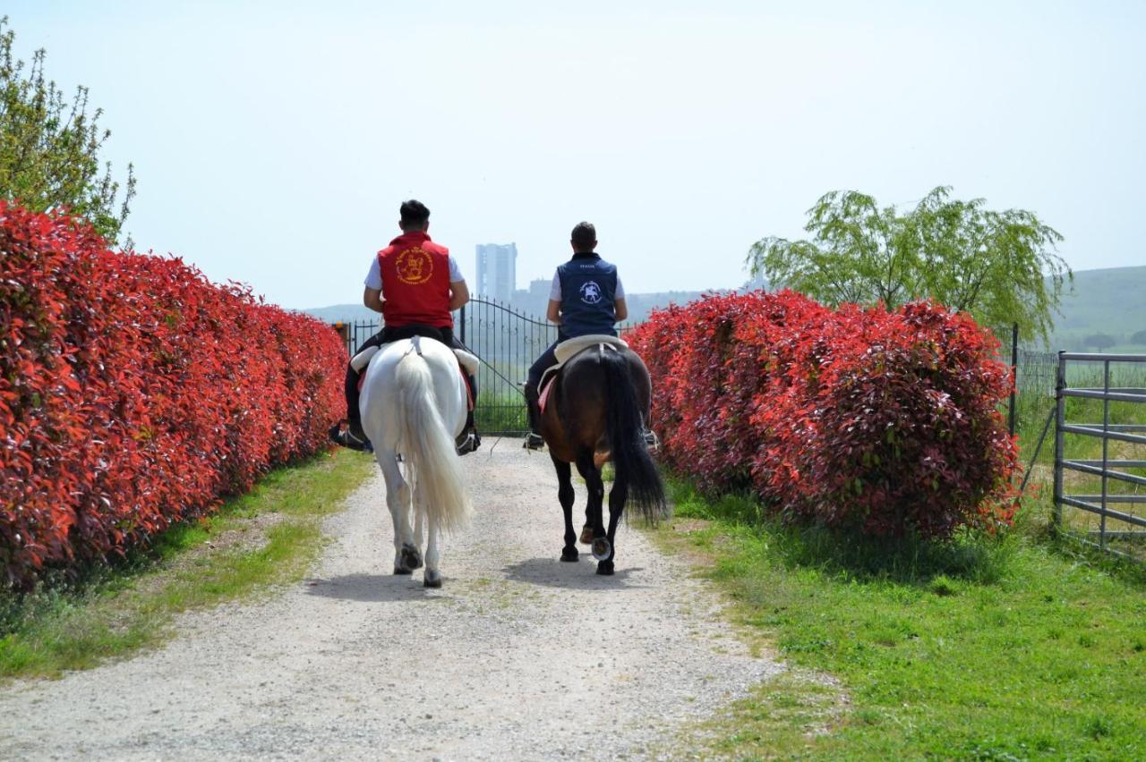 Vento Barocco - Equitazione E Turismo Βίλα Ματέρα Εξωτερικό φωτογραφία